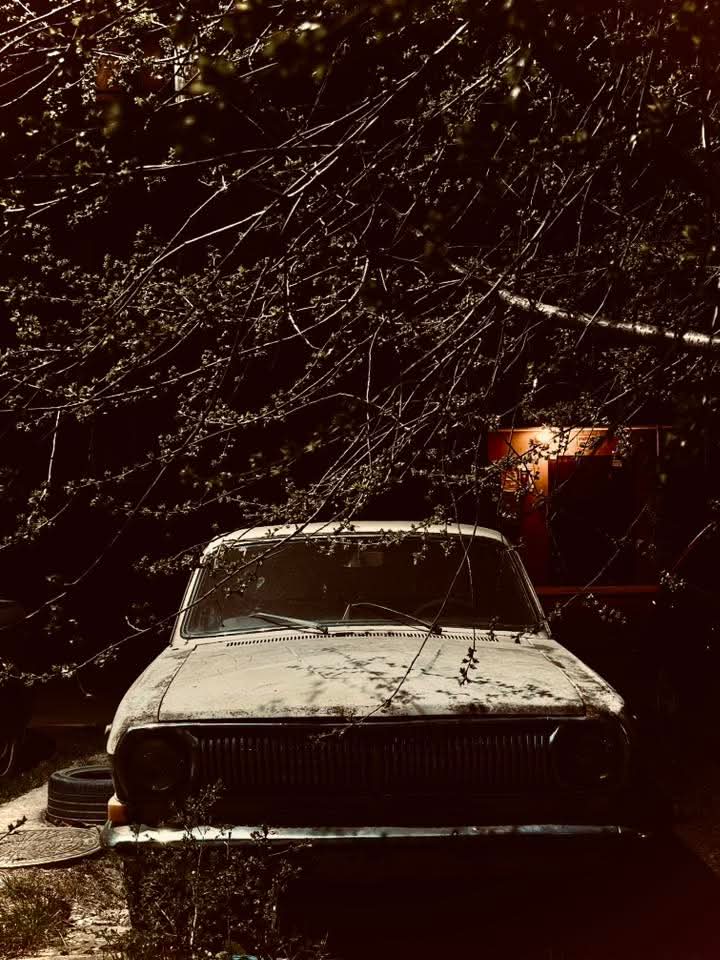 Покинуті авто: ужгородці показали цілий «автопарк» машин, що роками займають паркомісця