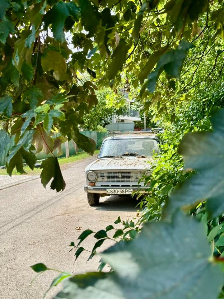Покинуті авто: ужгородці показали цілий «автопарк» машин, що роками займають паркомісця