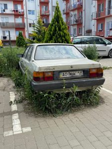 Покинуті авто: ужгородці показали цілий «автопарк» машин, що роками займають паркомісця (фото)