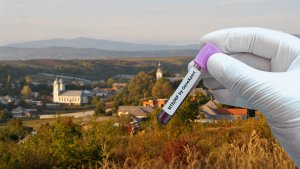 У дитсадку на Виноградівщині у працівниці виявили туберкульоз: чи обстежили дітей та персонал